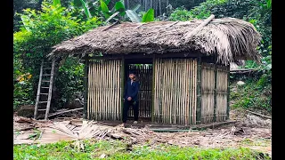 Orphan boy - DIY Bamboo - How to Make a House Wall with Bamboo, Harvest Corn on the Farm to Sell