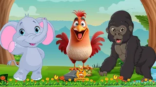 Happy Animal Moments: Chicken, Monkey, Iguana, Sparrow,... | Animal Sounds