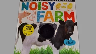 Noisy Farm