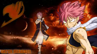 Fairy Tail OST 1 #13 Natsu no Theme (eng. Natsu's Theme) [HD]