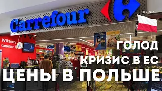 Цены в ПОЛЬШЕ декабрь 2023. Еда стоит ОЧЕНЬ дорого КРИЗИС В ЕС ГОЛОД ВАРШАВА