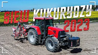 SIEW KUKURYDZY u @Pumas6153 | GR Kępowicz | z @lubelskieagriculture2749 | 2023