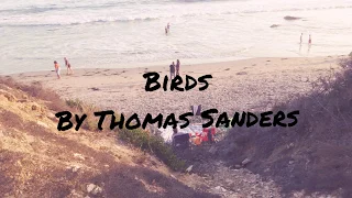 Birds (feat. Terrence Williams Jr.) {Thomas Sanders lyrics}