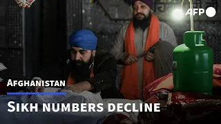 Number of Afghan Sikhs dwindle at last remaining active temple in Kabul | AFP