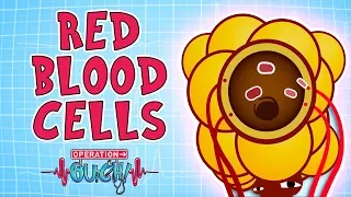 Operation Ouch - Red Blood Cells | Biology Facts for Kids