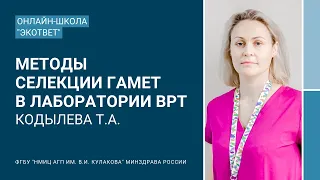 Школа «ЭКОтвет»: «Методы селекции гамет в лаборатории ВРТ». Кодылева Т.А.