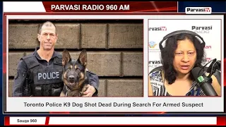 Toronto Police K9 Dog Shot Dead During Search For Armed Suspect | Parvasi TV