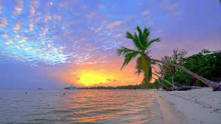 ''Tropical Dream''🌴 Relaxing Music with Beautiful Female Vocals & Pan Flute • Sleep, Meditate, Dream