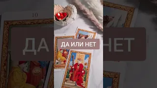 Да или нет? #подсказкатаро