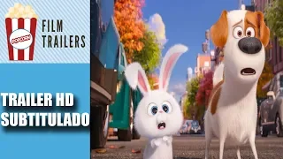 The Secret Life of Pets 2 - Official Trailer #1 HD Subtitulado