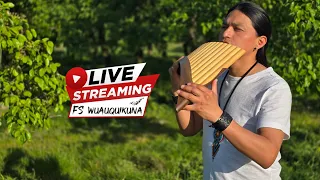 Live Performance #livestream #goodvibes #subscribe #share #like #fabiansalazarwuauquikuna