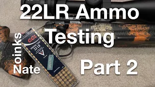 22LR Ammo Test Part 2: CCI Green Tag #czusa #22lr #targetshooting