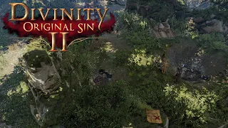 Divinity: Original Sin 2 - Elven Camp Ambient Music