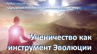 Ученичество как инструмент Эволюции