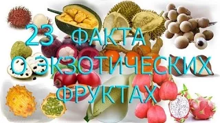 23 факта о экзотических фруктах