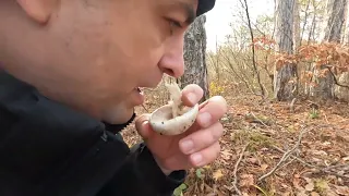 Зашел в лес за грибами в районе Судака КРЫМ