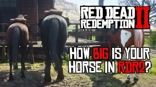 Red Dead Redemption 2 Horses - Size Comparison