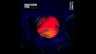 David Guetta ft. Sia  - Flames (Extended Mix)