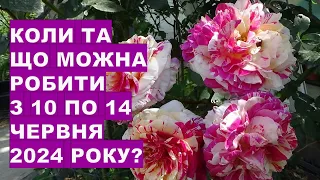 Коли та що робити з 10 по 14 червня 2024 року?