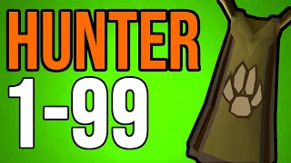 OSRS 1-99 Hunter Guide (Fast/AFK/Profit)