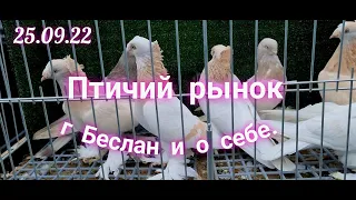 Pigeons Bird Market Beslan and....