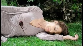 Beyond Salem Days Of Our Lives {Review} Wednesday 07.13.2022