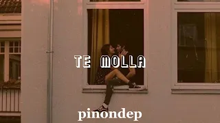 Te molla - ARNON ft. Killua (sped up)