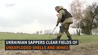 Ukrainian Sappers Clear Fields Of Deadly Unexploded Shells And Mines