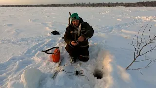 На рыбалку в - 40 / Рыбалка на налима / Проверка продольников на налима / Наш улов за три проверки