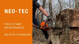 Tree Stump Maintenance | NEO-TEC NS8105 105cc Chainsaw