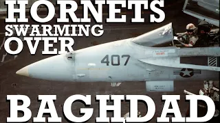 Desert Storm's Navy F/A-18s