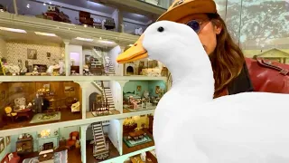 I took my duck to the Museum of Miniatures