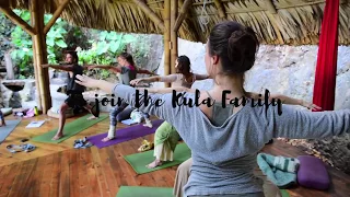 ૐ The Yoga Forest & Kula Collective - Yoga Teacher Trainings!