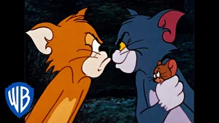 Tom & Jerry | The Dog & Cat Switcharoo | Classic Cartoon Compilation | WB Kids