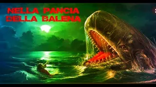 l'incredibile storia dell'uomo che finì nello stomaco di una balena e Moby Dick   La Balena Bianca