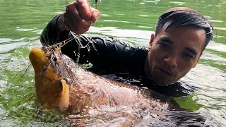 Nước Đổi Màu Báo Hiệu Mùa Câu Trúng Lớn ￼￼Fishing Big Fish In The Rain Forest