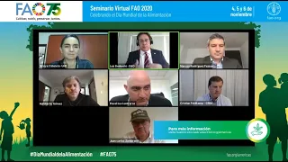 Panel 2: Sistemas Agroalimentarios y Desarrollo Territorial - Día Mundial de la Alimentación 2020