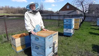 Роение при двухматочном методе пчеловождения.