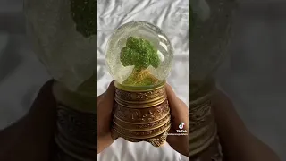 Taylor swift snow globes collection