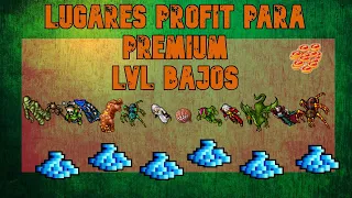 LUGARES PROFIT PARA PREMIUM LVL BAJO |TODAS LAS VOCACIONES | Tibia