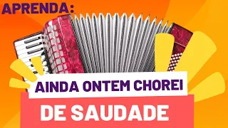 Aprenda AINDA ONTEM CHOREI DE SAUDADE -  no Acordeon/Sanfona