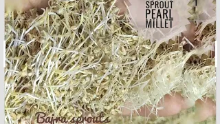 How To Make Bajra Sprouts|Easy Way To Sprout Pearl Millet|Millet Flour Recipes|Sprouted Bajra Recipe