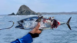 Pesca con Carnada GIGANTE y Señuelos en las Piedras! | NUEVO RÉCORD