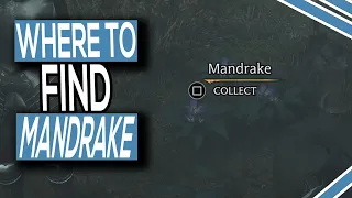 Where To Find Mandrake In Hogwarts Legacy