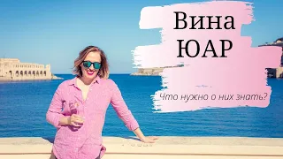 Вина ЮАР. Что нужно о них знать?