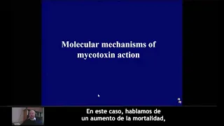 Mycotoxin and oxidative stress: a performance bottleneck - MycoInfo 4/5 (SP)