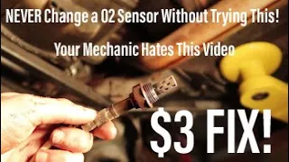 FIX O2 Sensor For FREE! Never Replace a Bad Sensor Again!