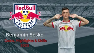 Benjamin Sesko 2023 HD - Amazing Goals, Skills & Highlights - Next Haaland ?!