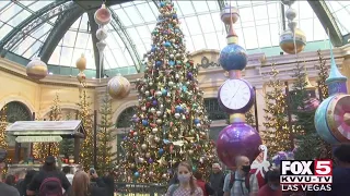 "Holiday time" debuts at Bellagio Conservatory