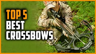 Best Crossbows 2024 | Top 5 Crossbows for Deer Hunting